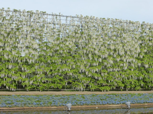 f:id:fuzikoblog:20190509160158j:plain