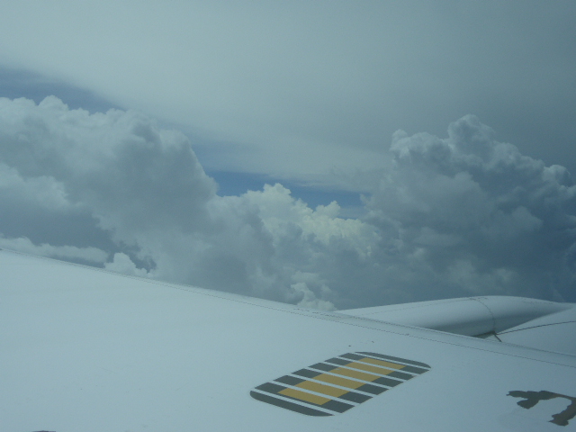 f:id:fuzikoblog:20190511132901j:plain