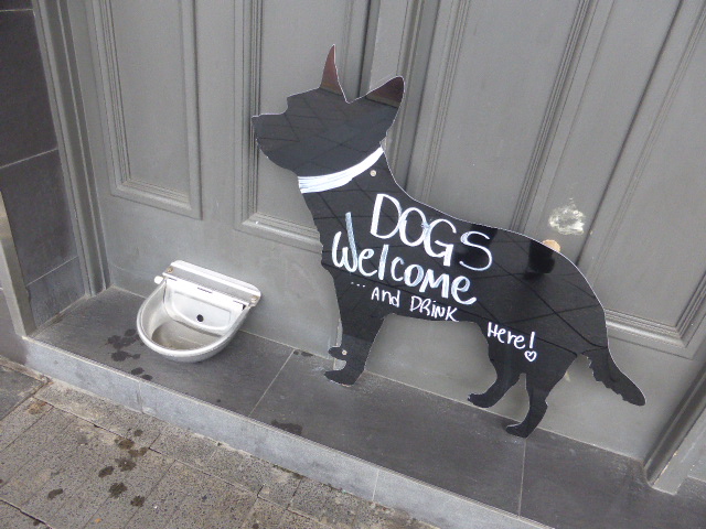 f:id:fuzikoblog:20190624114702j:plain