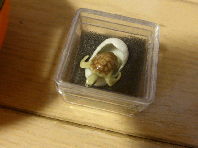 f:id:fuzikoblog:20190624115824j:plain