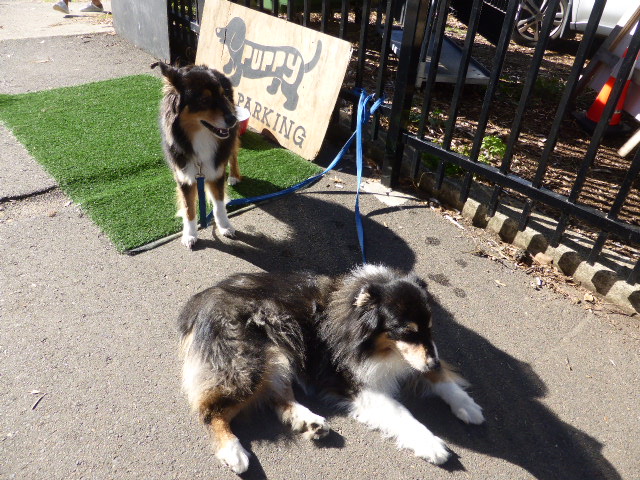 f:id:fuzikoblog:20190624120926j:plain