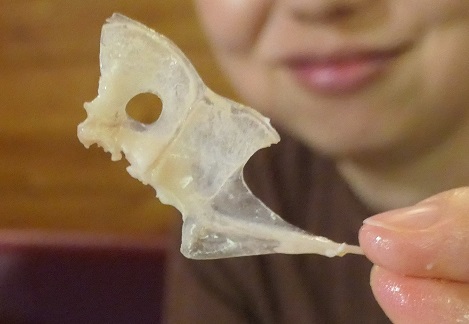 f:id:fuzikoblog:20190912214937j:plain f:id:fuzikoblog:20190912214937j:plain