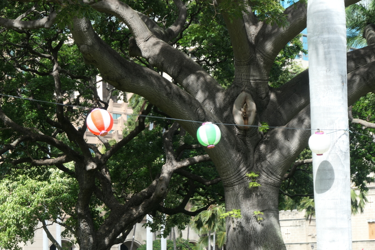 f:id:fuzikoblog:20191228110609j:plain