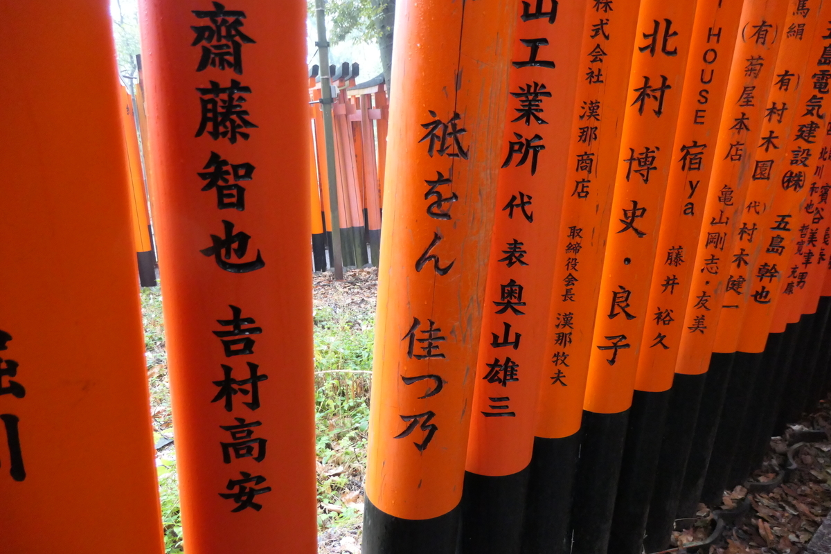 f:id:fuzikoblog:20200413170624j:plain