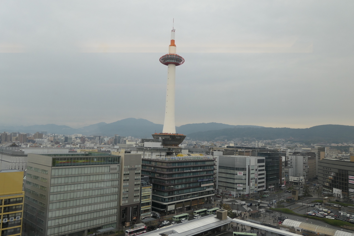 f:id:fuzikoblog:20200413171029j:plain