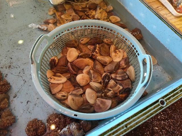f:id:fuzikoblog:20201015080115j:image