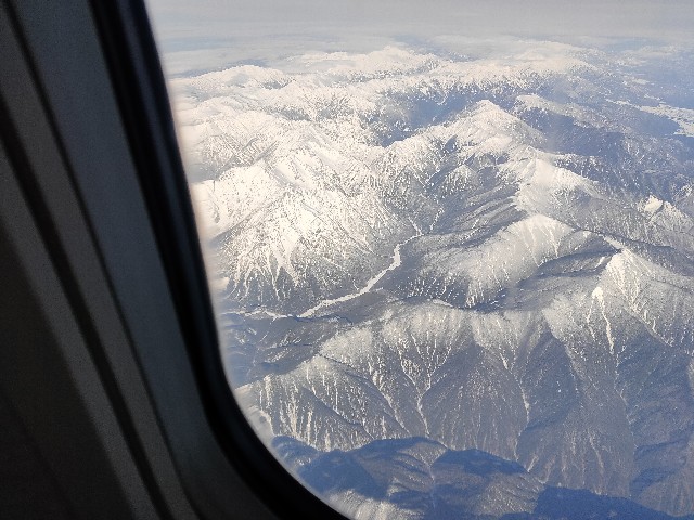 f:id:fuzikoblog:20201230150951j:image f:id:fuzikoblog:20201230150951j:image