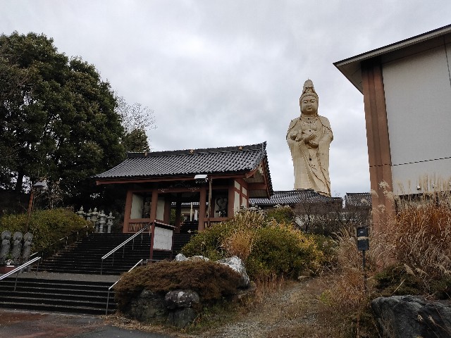 f:id:fuzikoblog:20210101140008j:image