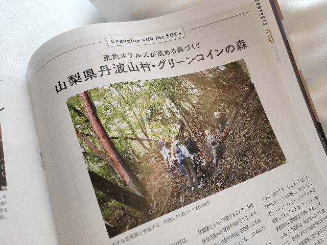 f:id:fuzikoblog:20210424105051j:image