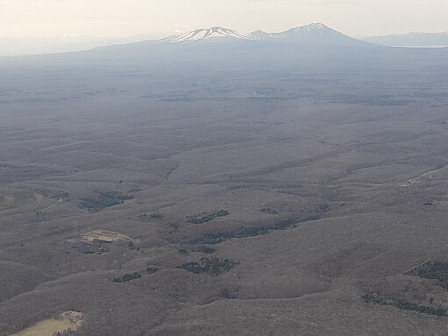 f:id:fuzikoblog:20210508100844j:image