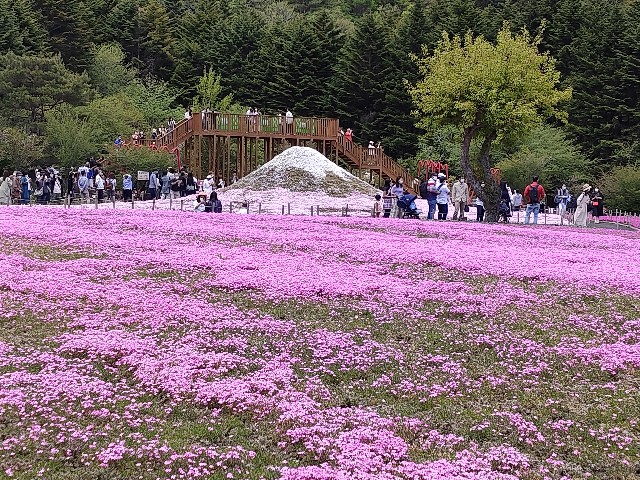 f:id:fuzikoblog:20210923083001j:image f:id:fuzikoblog:20210923083001j:image