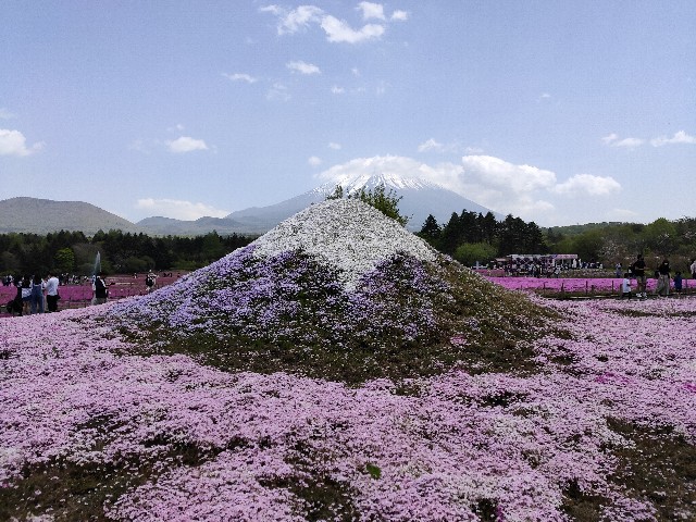 f:id:fuzikoblog:20210923083453j:image f:id:fuzikoblog:20210923083453j:image