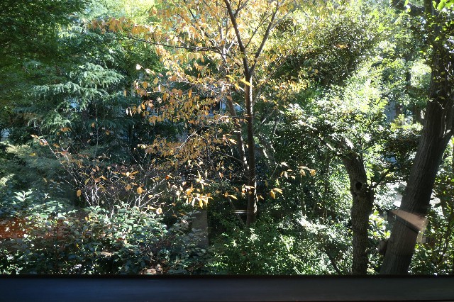 f:id:fuzikoblog:20211127210651j:image