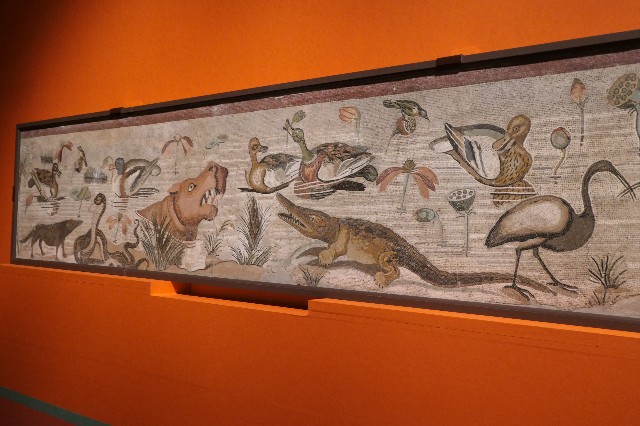 f:id:fuzikoblog:20220201211203j:image f:id:fuzikoblog:20220201211203j:image