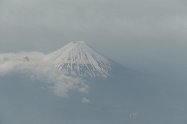 f:id:fuzikoblog:20220422065552j:image