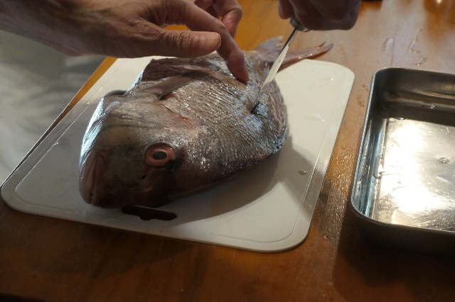 f:id:fuzikoblog:20221002221848j:image f:id:fuzikoblog:20221002221848j:image