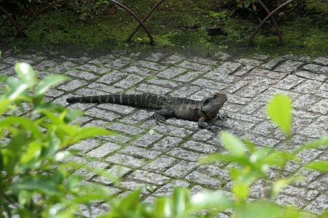 f:id:fuzikoblog:20221026192235j:image