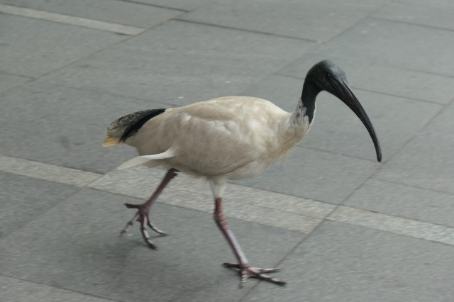 f:id:fuzikoblog:20221026193251j:image