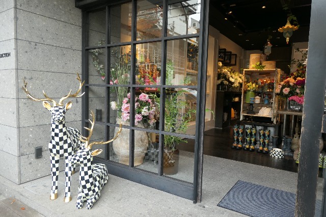 f:id:fuzikoblog:20221126195400j:image f:id:fuzikoblog:20221126195400j:image