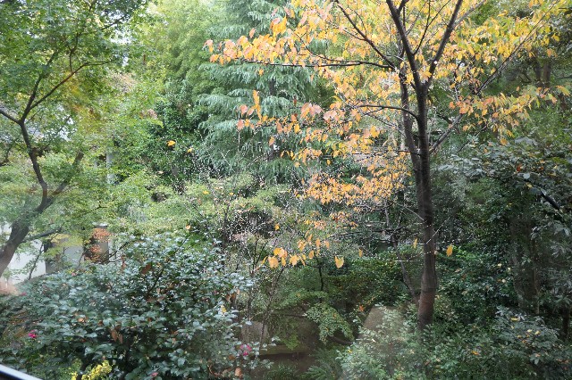 f:id:fuzikoblog:20221126201442j:image f:id:fuzikoblog:20221126201442j:image