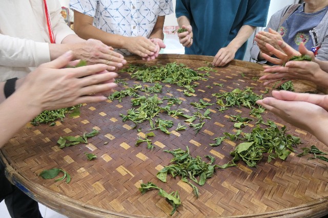 f:id:fuzikoblog:20230511141316j:image f:id:fuzikoblog:20230511141316j:image