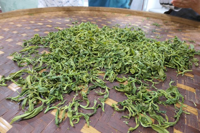 f:id:fuzikoblog:20230511141350j:image f:id:fuzikoblog:20230511141350j:image