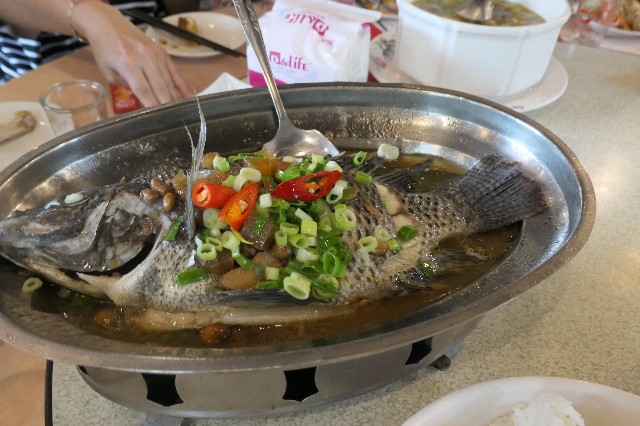 f:id:fuzikoblog:20230511182108j:image f:id:fuzikoblog:20230511182108j:image