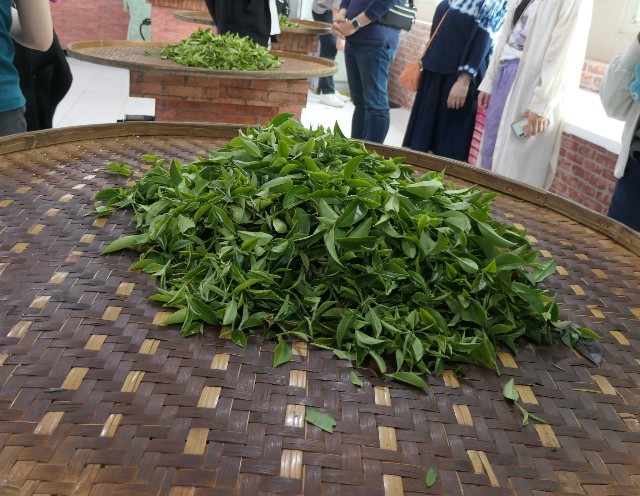 f:id:fuzikoblog:20230515065532j:image f:id:fuzikoblog:20230515065532j:image