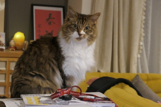 f:id:fuzikoblog:20230821143036j:image f:id:fuzikoblog:20230821143036j:image