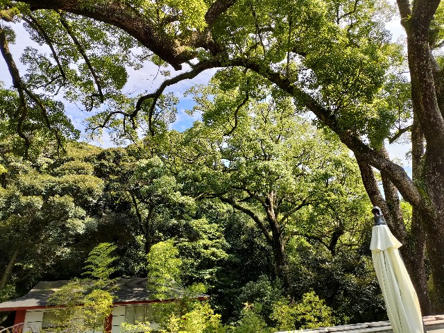 f:id:fuzikoblog:20231004105031j:image f:id:fuzikoblog:20231004105031j:image