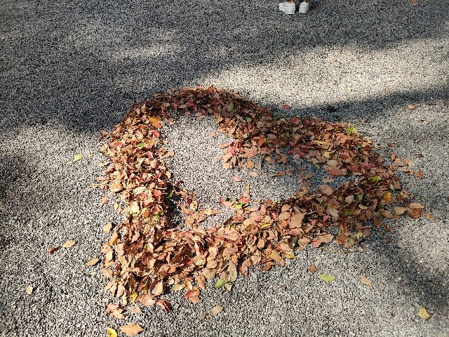 f:id:fuzikoblog:20231004105107j:image f:id:fuzikoblog:20231004105107j:image