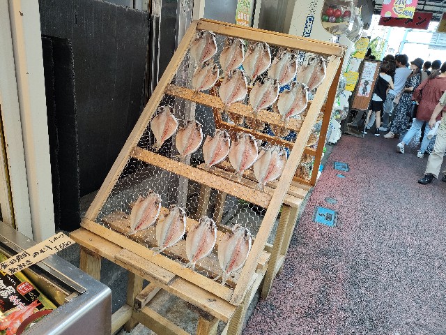 f:id:fuzikoblog:20231004105431j:image f:id:fuzikoblog:20231004105431j:image