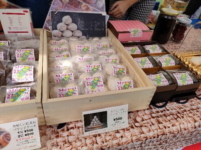 f:id:fuzikoblog:20231009094736j:image