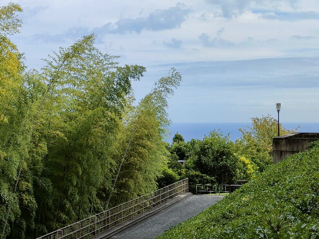 f:id:fuzikoblog:20231012210259j:image