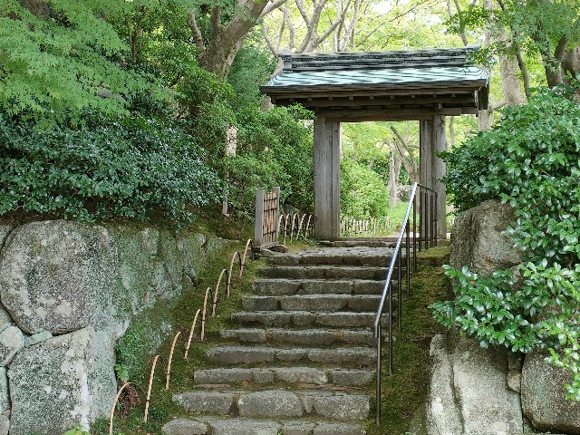 f:id:fuzikoblog:20231012210448j:image