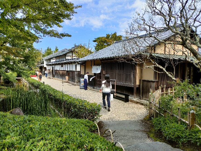 f:id:fuzikoblog:20231013084548j:image