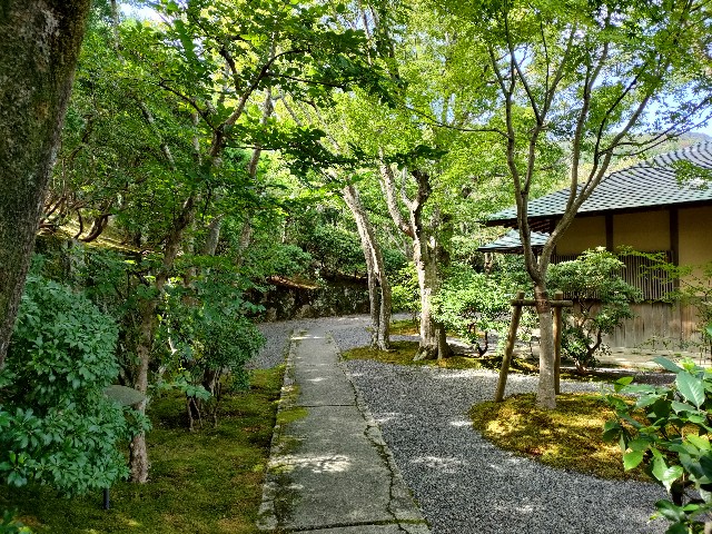 f:id:fuzikoblog:20231013084618j:image