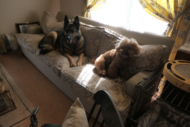 f:id:fuzikoblog:20231014092212j:image f:id:fuzikoblog:20231014092212j:image