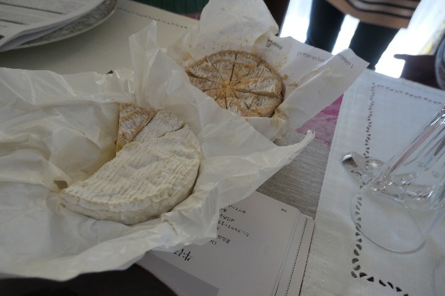 f:id:fuzikoblog:20231014093248j:image f:id:fuzikoblog:20231014093248j:image