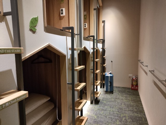 f:id:fuzikoblog:20231213075617j:image