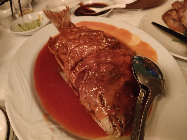 f:id:fuzikoblog:20240215162054j:image