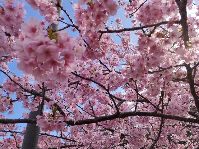 f:id:fuzikoblog:20240220192436j:image