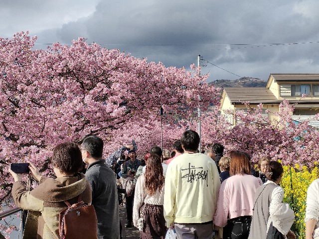 f:id:fuzikoblog:20240220192453j:image