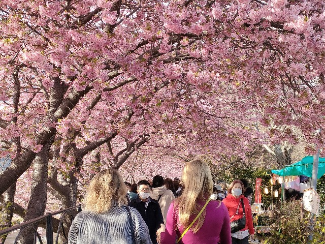 f:id:fuzikoblog:20240220192638j:image