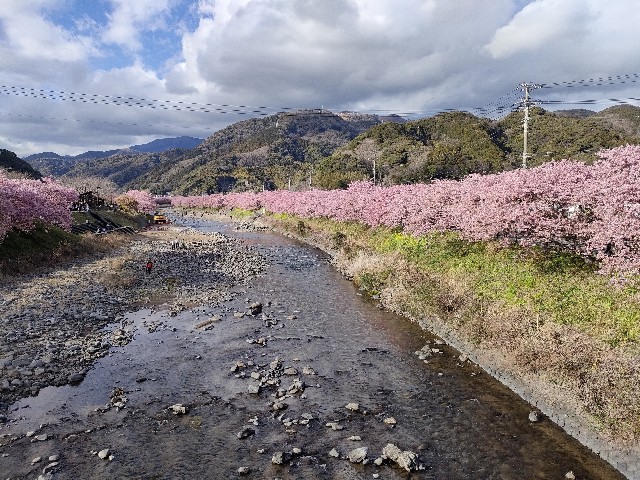 f:id:fuzikoblog:20240220192859j:image