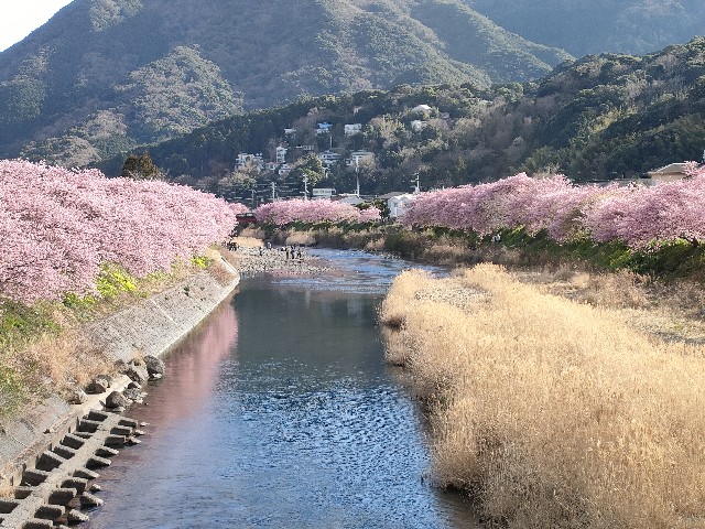 f:id:fuzikoblog:20240220201949j:image