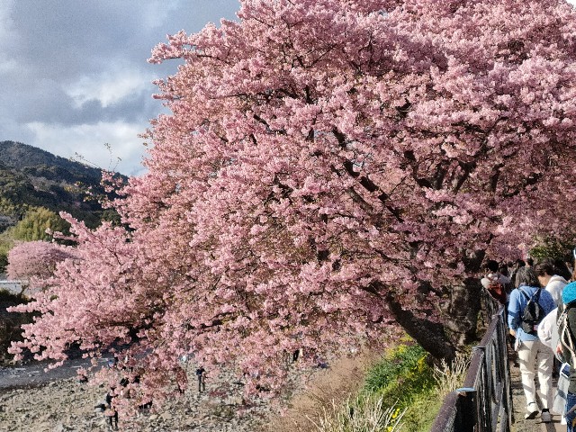 f:id:fuzikoblog:20240220202753j:image