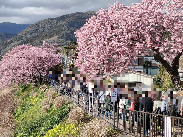 f:id:fuzikoblog:20240221111740j:image