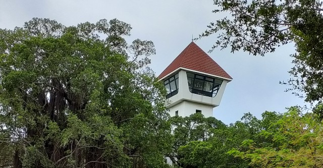 f:id:fuzikoblog:20240430194910j:image f:id:fuzikoblog:20240430194910j:image