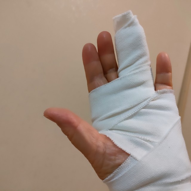 f:id:fuzikoblog:20240511170540j:image